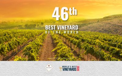KRSMA Estates is now the 46th Best Vineyard in the World!
